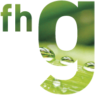 Logo des fhg